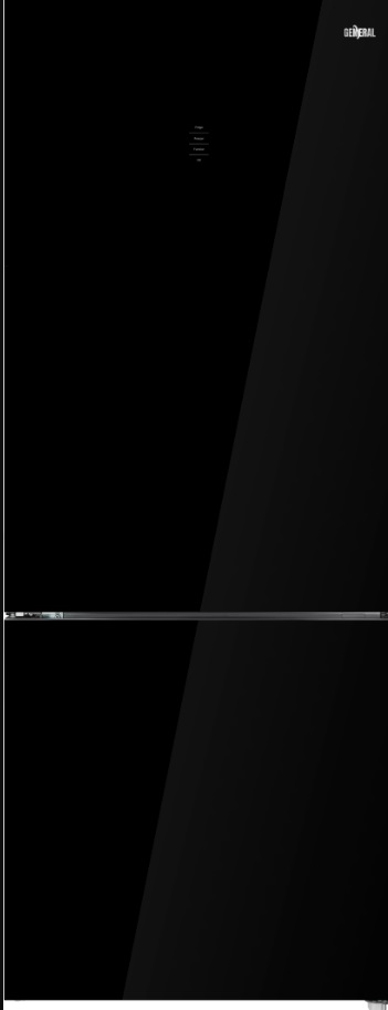 ���� ����� ����� 317 ���� General ��� GE393LBGM ������ �����